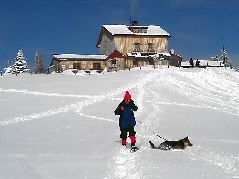 Schneeschuhe_Hund_Pieslin Dorfevent